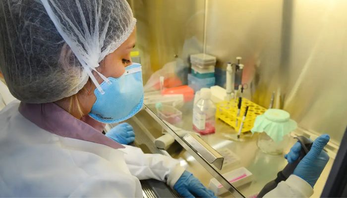 © Rovena Rosa/Agência Brasil USP: pesquisa de vacina contra zika avança em testes com camundongos